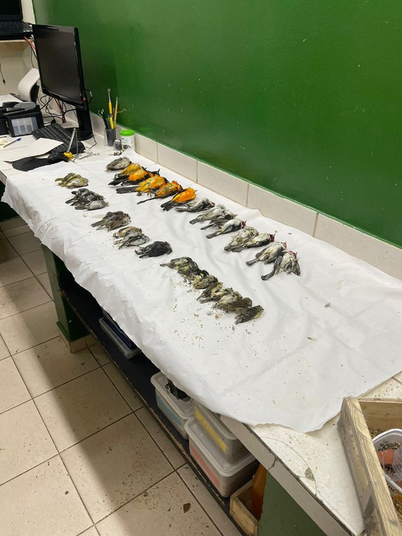 WhatsApp Image 2023-08-28 at 13.17.37.jpeg