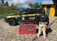 PRF apreende 145 kg de maconha durante abordagem na Rodovia Régis Bittencourt