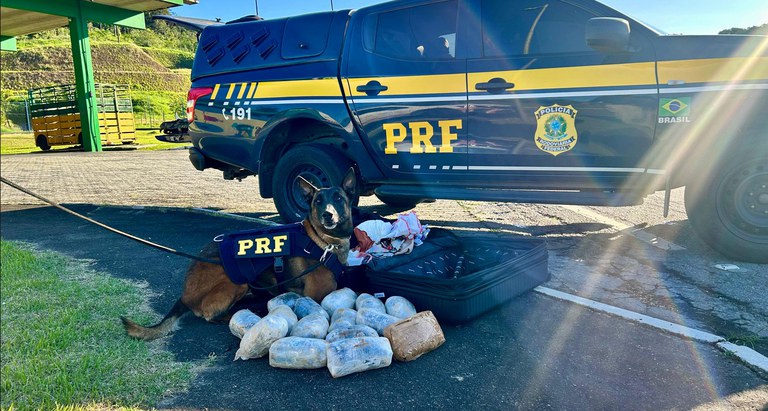 WhatsApp Image 2025-11-10 at 18.48.03.jpeg