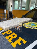 PRF apreende 220 caixas de medicamentos emagrecedores na divisa entre São Paulo e Paraná