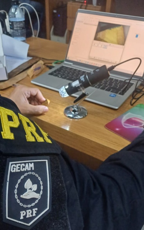 WhatsApp Image 2026-04-15 at 10.17.01.jpeg