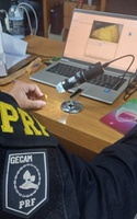 PRF apreende 54 m³ de madeira ilegal em São José do Rio Preto/SP