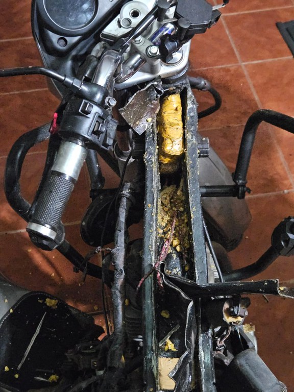 WhatsApp Image 2026-01-31 at 01.12.21.jpeg