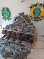 PRF apreende a maior carga de skunk do estado de São Paulo na Rodovia Presidente Dutra