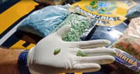 PRF apreende aproximadamente 5 mil comprimidos de ecstasy na BR-381