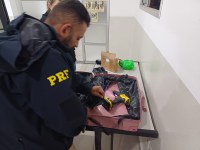 PRF apreende diversos entorpecentes durante fiscalização na Fernão Dias, em Vargem/SP