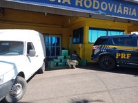 PRF apreende mais de 340 kg de maconha na BR-153, em Ourinhos/SP