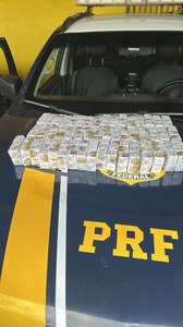 Os fármacos foram encontrados em compartimentos ocultos no interior do veículo