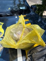 PRF apreende sacola cheia de entorpecentes às margens da Rodovia Presidente Dutra