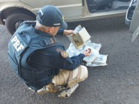 PRF apreende tabletes de maconha escondidos em veículo durante fiscalização em Ourinhos