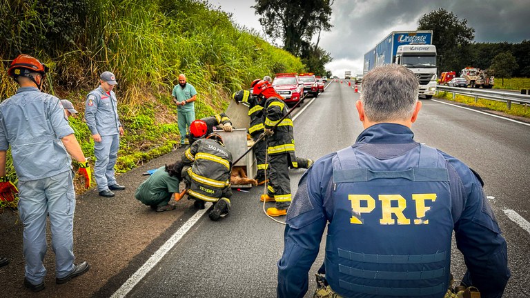 WhatsApp Image 2025-04-29 at 11.06.10.jpg