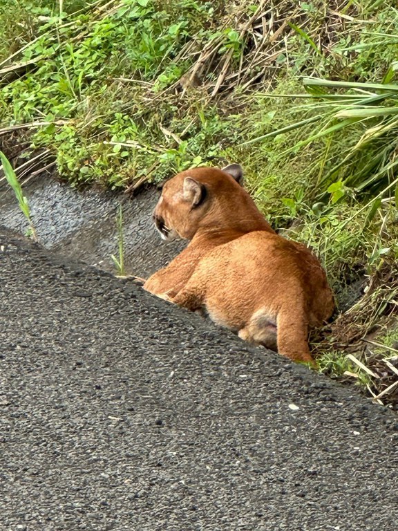 WhatsApp Image 2025-04-29 at 11.09.02.jpg