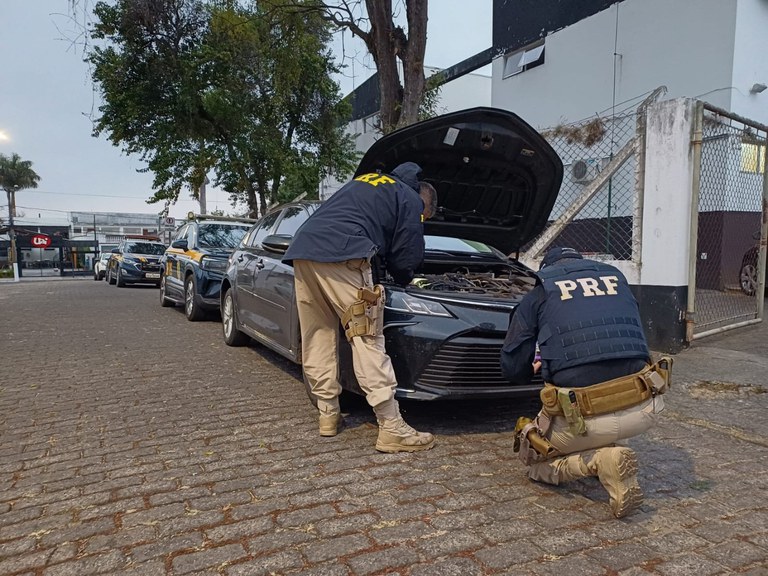 WhatsApp Image 2025-08-18 at 10.06.29.jpeg