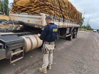 PRF encerra Operação Khonshu com redução de crimes e 13 prisões na Rodovia Régis Bittencourt