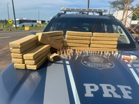 PRF flagra transporte de drogas e medicamentos emagrecedores na BR-153 e prende quatro pessoas
