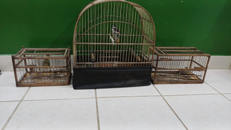 WhatsApp Image 2025-10-15 at 17.46.26 (1).jpeg