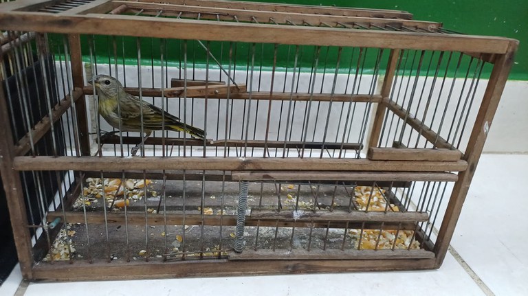 WhatsApp Image 2025-10-15 at 17.46.27.jpeg