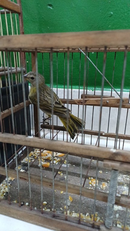 WhatsApp Image 2025-10-15 at 17.46.28.jpeg