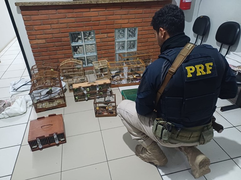 WhatsApp Image 2025-06-13 at 09.00.00 (1).jpeg