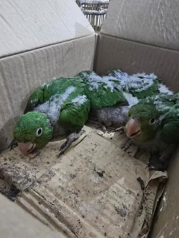 WhatsApp Image 2026-02-09 at 09.13.57 (1).jpeg