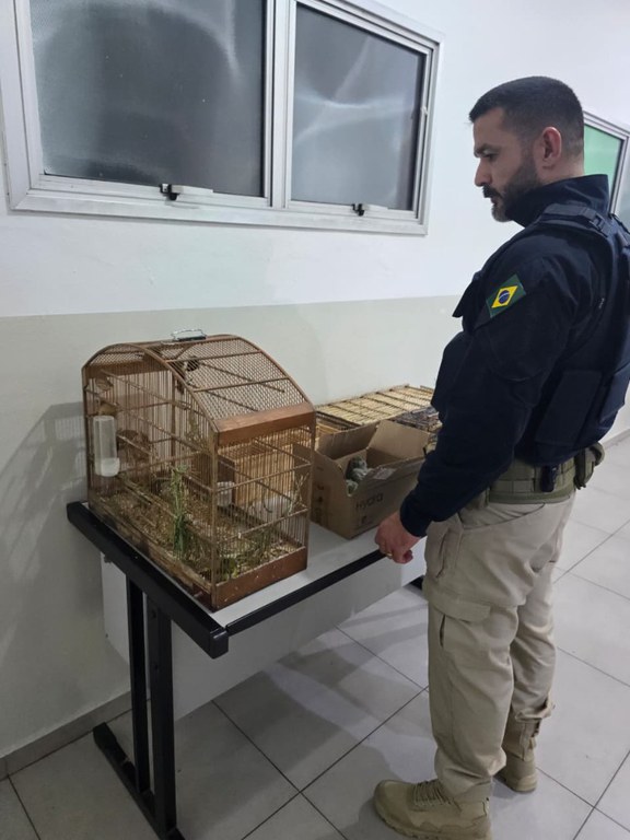 WhatsApp Image 2026-02-09 at 09.13.57 (2).jpeg