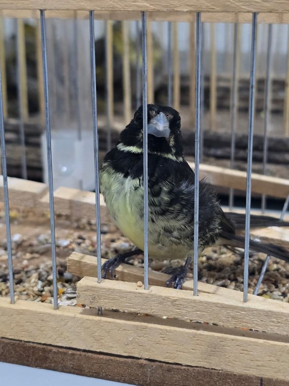 WhatsApp Image 2026-02-09 at 09.13.57.jpeg