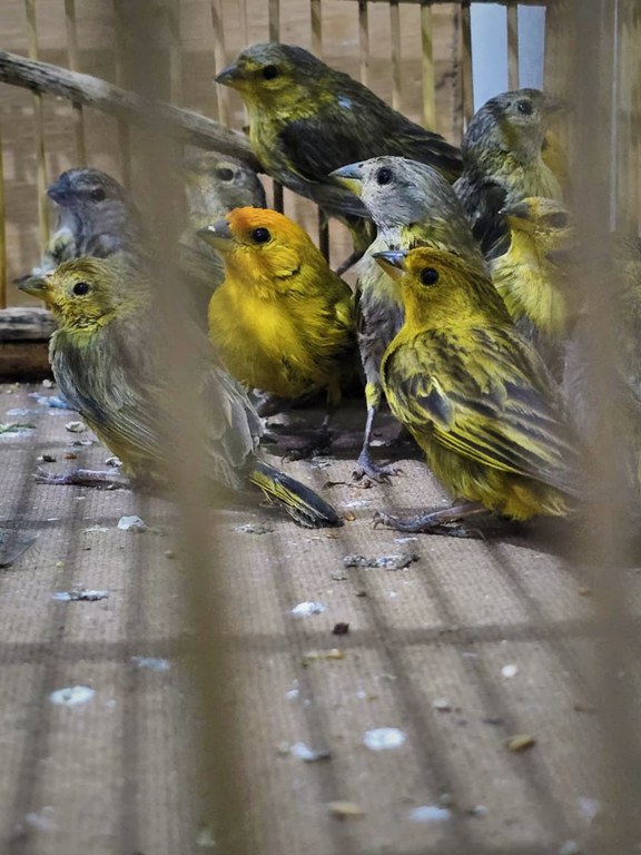 WhatsApp Image 2026-02-09 at 09.13.58.jpeg