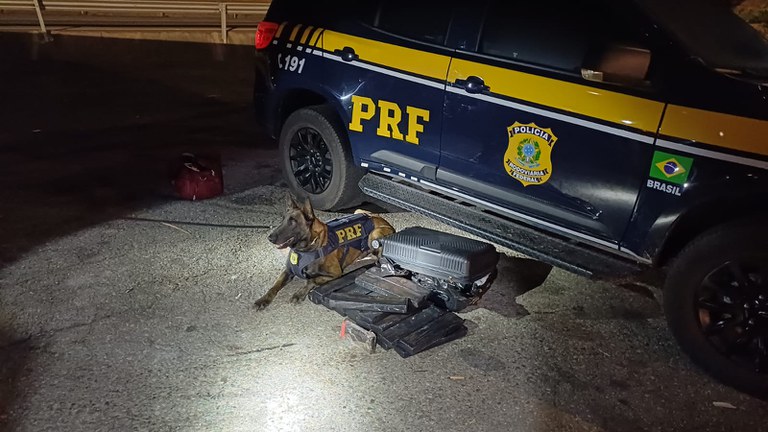 WhatsApp Image 2025-09-11 at 00.44.07.jpeg