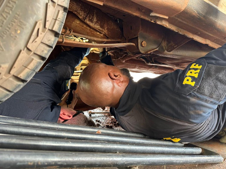 WhatsApp Image 2026-01-10 at 12.07.11.jpeg