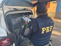 PRF recupera veículo furtado e apreende carga de cigarros contrabandeados na região de Rio Preto/SP