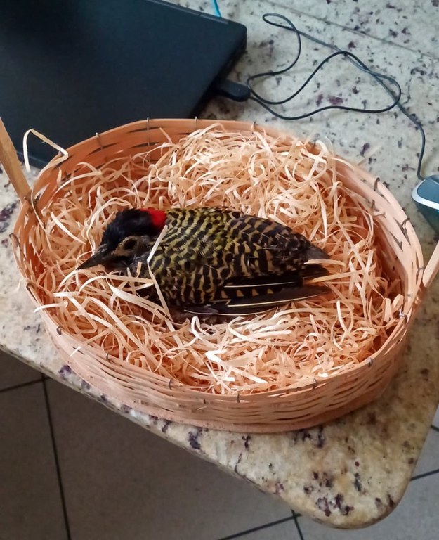 WhatsApp Image 2025-11-04 at 08.32.13.jpg