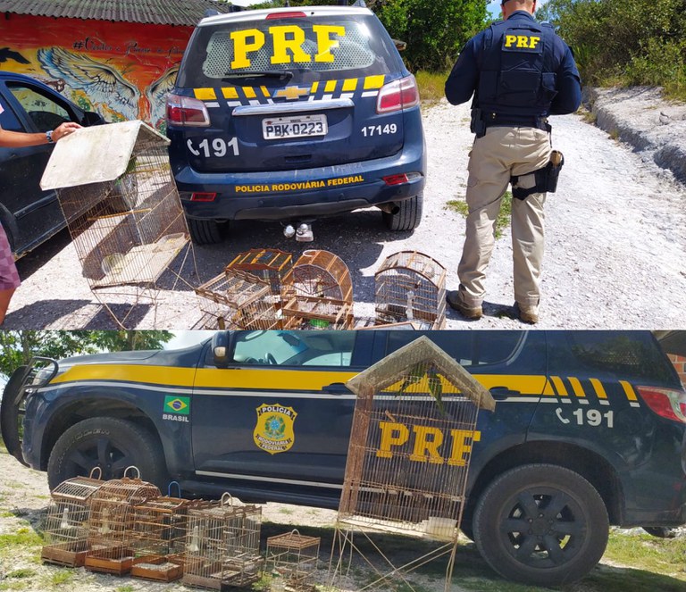 WhatsApp Image 2022-12-19 at 11.12.29.jpeg