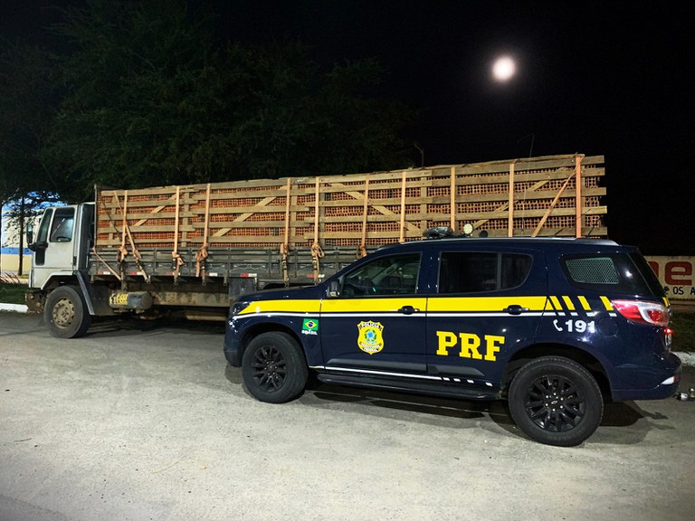 WhatsApp Image 2023-12-27 at 08.56.41.jpeg