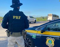 Malhada dos Bois/SE: PRF flagra motorista com arma de fogo na BR-101