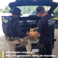 São Cristóvão/SE: PRF e PF apreendem 100kg de maconha