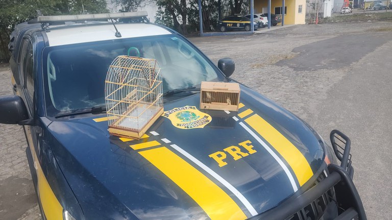 WhatsApp Image 2023-10-02 at 08.37.41.jpeg