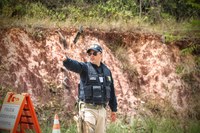 BR-235: PRF flagra motorista transportando dois pássaros silvestres