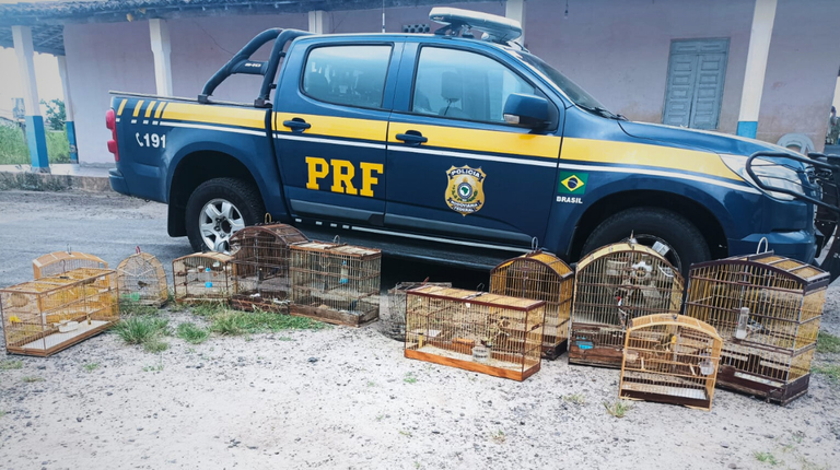 galeria de fotos portal (8).png