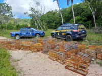 PRF/SE finaliza Operação Rotas da Fauna