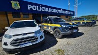 BR-235: PRF recupera veículo roubado e prende condutor por adulteração e receptação