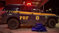 PRF prende homem que transportava maconha na BR-101