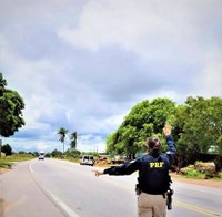 Cristinápolis/SE: PRF flagra transporte de carga sem nota fiscal