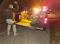 Rosário do Catete/SE: Moto roubada é localizada pela PRF na BR-101