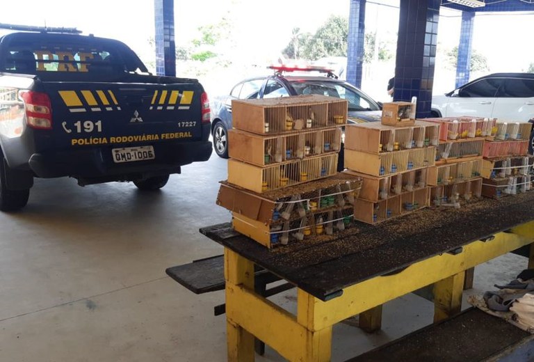 WhatsApp Image 2021-08-16 at 08.15.58.jpeg