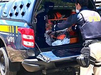 Umbaúba/SE: PRF flagra 19 motosserras transportadas sem documentação fiscal