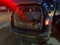PRF apreende 48,60 kg de substância análoga à maconha em Guaraí/TO