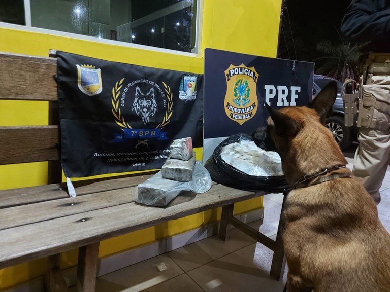 3,6kg de drogas foram apreendidos em Guaraí