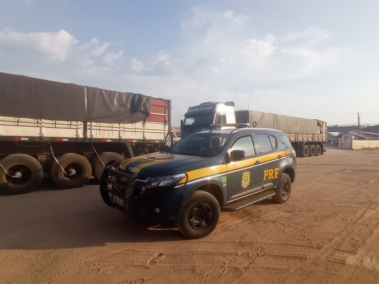 Mais de 107m³ de madeira transportados ilegalmente foram apreendidos no norte do estado