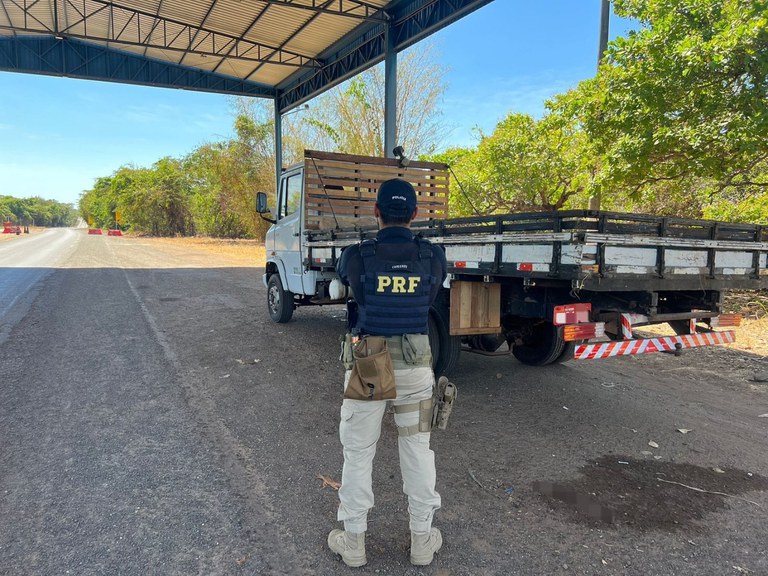 WhatsApp Image 2023-08-07 at 09.52.46.jpeg