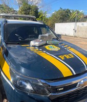 PRF apreende 8,4kg de substância análoga à maconha em Miranorte/TO